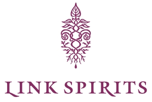 LINK SPIRITS株式会社